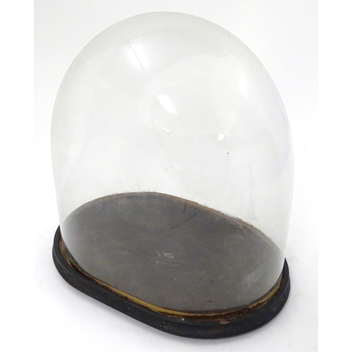 122 - Glass dome : a Victorian glass taxidermy dome with ebonised base /socle, 17'' high x 10 1/2'' wide x... 