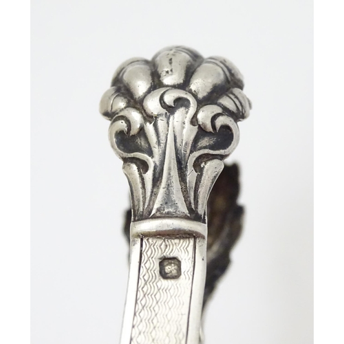 125 - French silver sugar tongs with lions paw grips 6'' long (38g)