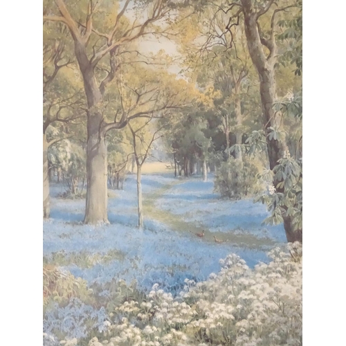 281 - A print entitled Bushy Park at Bluebell Time, by John Macpherson