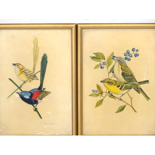 379 - T Ashton early - mid XX, 4 assorted bird illustrations, 3 x signed lower right. Each 8 x 5 1/2''