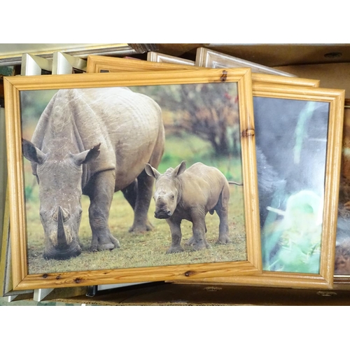 465 - A collection of 22 framed pictures to include animal studies, cartoons etc.