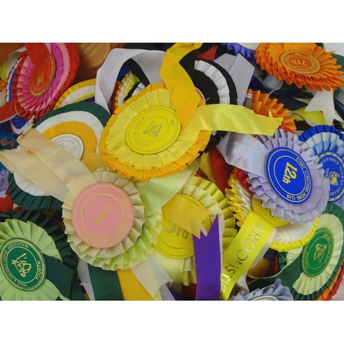 77 - Equestrian: assorted riding and dominoes trophies, together with a large quantity of Buckinghamshire... 