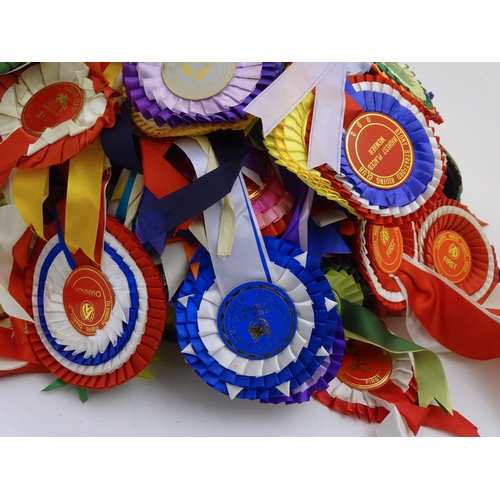 77 - Equestrian: assorted riding and dominoes trophies, together with a large quantity of Buckinghamshire... 