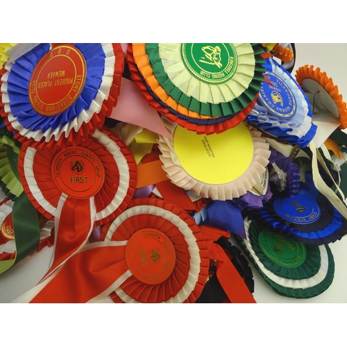 77 - Equestrian: assorted riding and dominoes trophies, together with a large quantity of Buckinghamshire... 