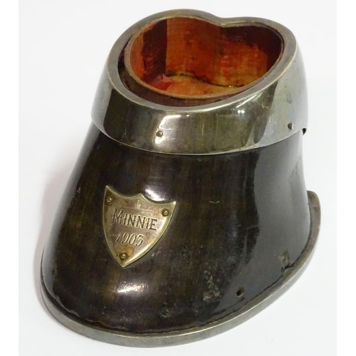 73 - Taxidermy: a 1903 silver plate mounted Pony Hoof, with heart shaped insert to top, marked on a shiel... 