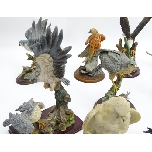 88 - A collection of hand painted Resin Avian Birds of Prey / Raptor Sculptures, to include: the Juliana ... 