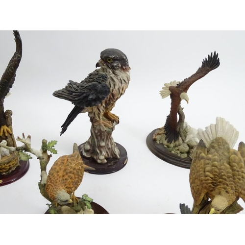 88 - A collection of hand painted Resin Avian Birds of Prey / Raptor Sculptures, to include: the Juliana ... 