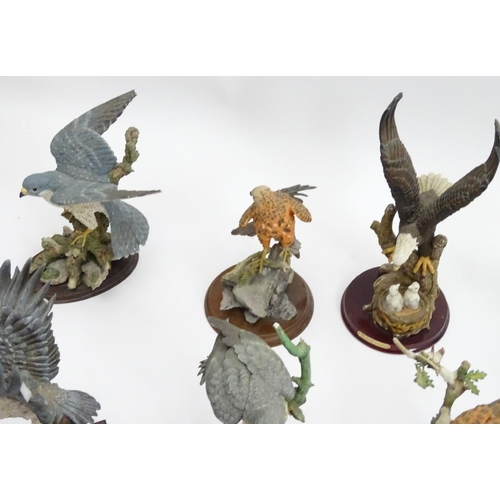 88 - A collection of hand painted Resin Avian Birds of Prey / Raptor Sculptures, to include: the Juliana ... 