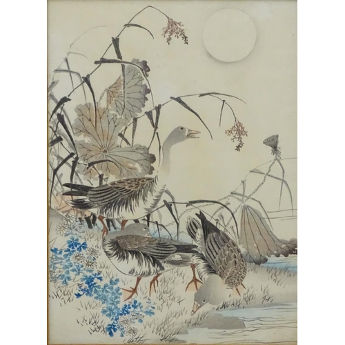 593 - Oriental School, XIX-XX, Hand coloured prints, x4, Three geese on a floral bank, Five tortoises in l... 