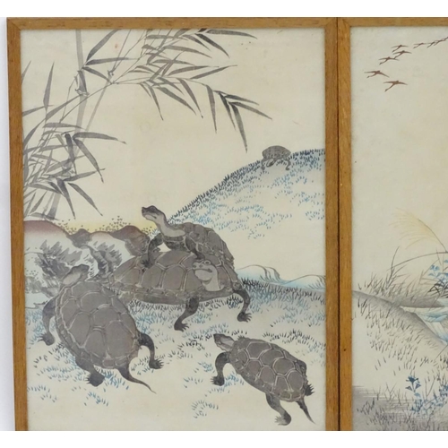 593 - Oriental School, XIX-XX, Hand coloured prints, x4, Three geese on a floral bank, Five tortoises in l... 