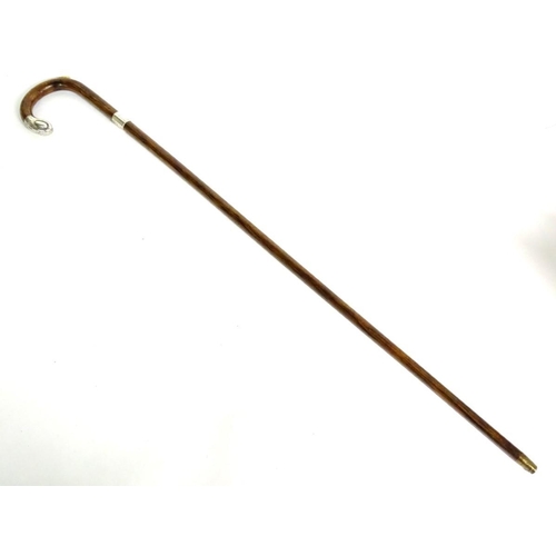 197A - A 20thC race-goer's peacock wood walking stick / cane with pencil insert to handle and silver mounts... 