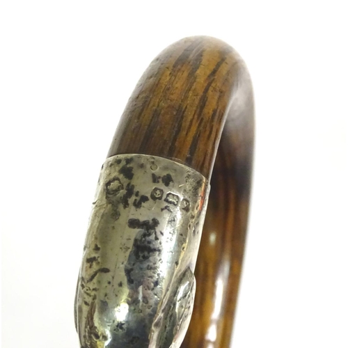 197A - A 20thC race-goer's peacock wood walking stick / cane with pencil insert to handle and silver mounts... 