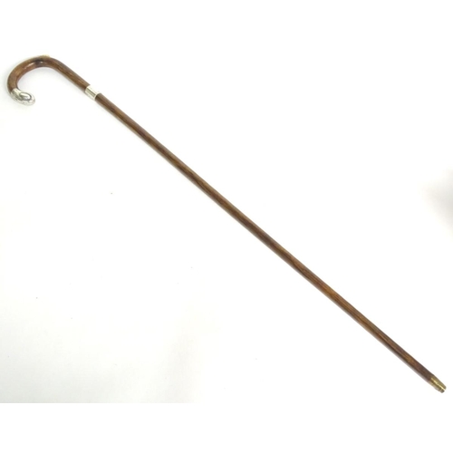 197A - A 20thC race-goer's peacock wood walking stick / cane with pencil insert to handle and silver mounts... 
