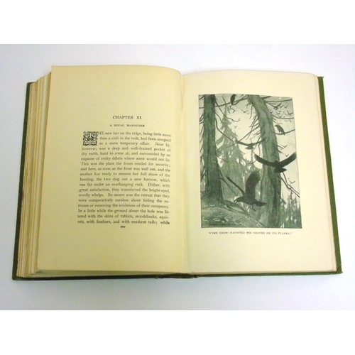 9 - Book: '' Red Fox '' by Charles G.D. Roberts, published by Duckworth & Co. London 1913,  hardback wit... 