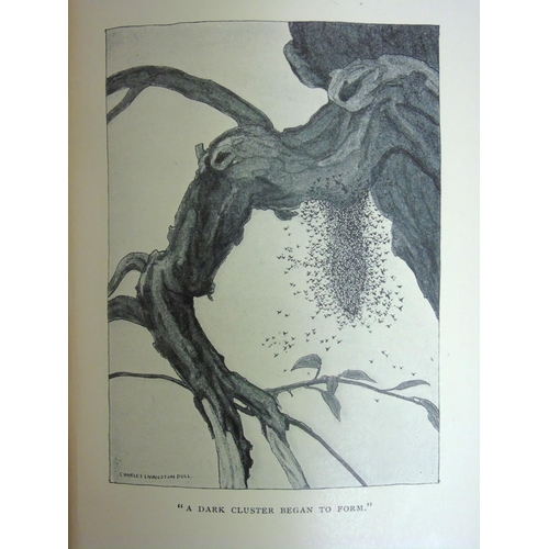 9 - Book: '' Red Fox '' by Charles G.D. Roberts, published by Duckworth & Co. London 1913,  hardback wit... 