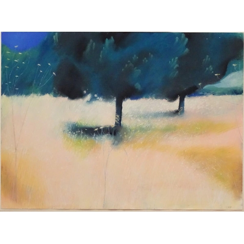 201 - C. Pelior, XX, Pastel,  Cheryl Park, Initialled lower right, 22 x 30 1/2''