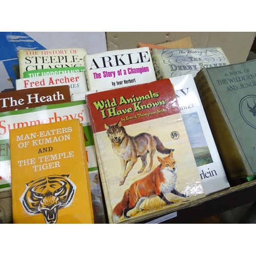 207 - A large quantity of miscellaneous items to include trophies, lamps, books, ceramics, etc