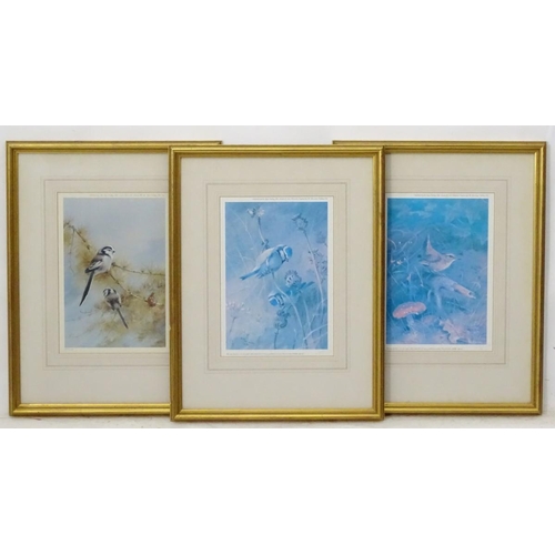 214 - After Archibald Thornburn (1860-1935), 3 limited edition coloured prints for Tryon Gallery, Ornithol... 