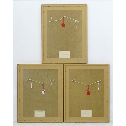 214 - After Archibald Thornburn (1860-1935), 3 limited edition coloured prints for Tryon Gallery, Ornithol... 