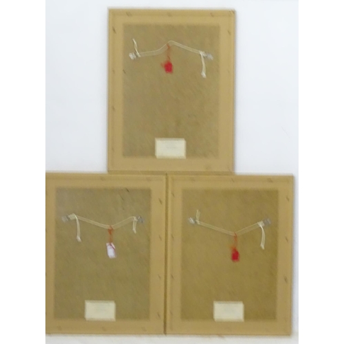 214 - After Archibald Thornburn (1860-1935), 3 limited edition coloured prints for Tryon Gallery, Ornithol... 