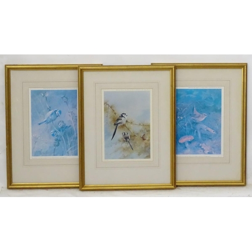 214 - After Archibald Thornburn (1860-1935), 3 limited edition coloured prints for Tryon Gallery, Ornithol... 