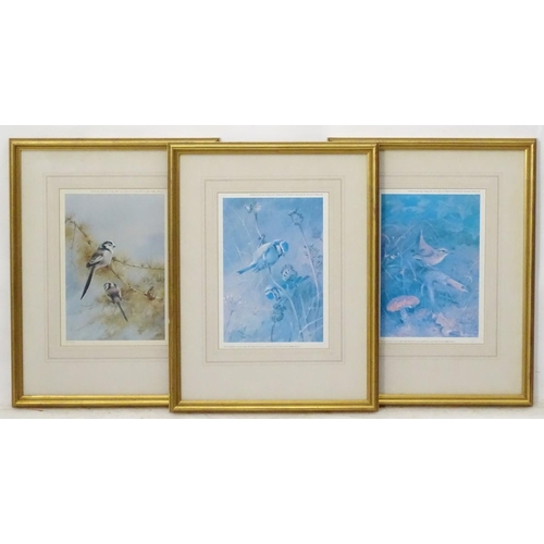 214 - After Archibald Thornburn (1860-1935), 3 limited edition coloured prints for Tryon Gallery, Ornithol... 