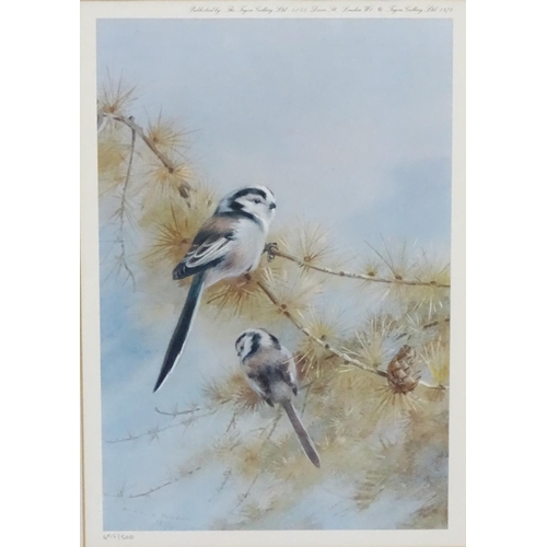 214 - After Archibald Thornburn (1860-1935), 3 limited edition coloured prints for Tryon Gallery, Ornithol... 