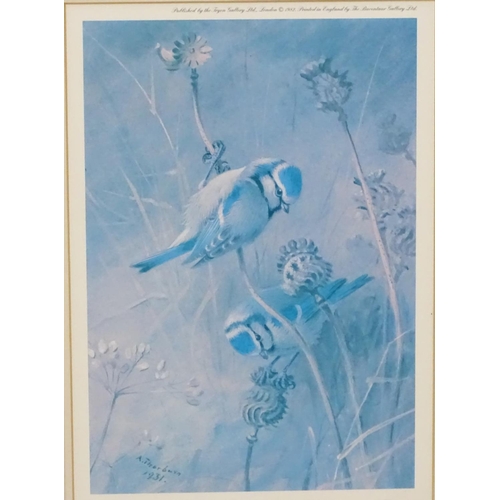 214 - After Archibald Thornburn (1860-1935), 3 limited edition coloured prints for Tryon Gallery, Ornithol... 