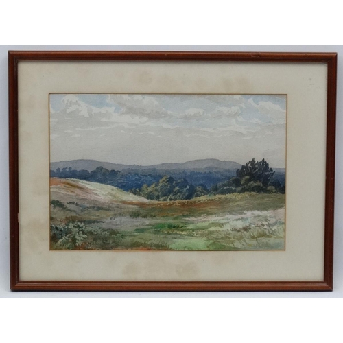 216 - Unsigned XX, Watercolour, Landscape,   9 x 13 1/2''.