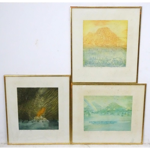 279 - Michael Oelman (1941-),  Etchings (7), 'Xanadu', 'A Mighty Fountain', (17/75) 'There Were Gardens', ... 