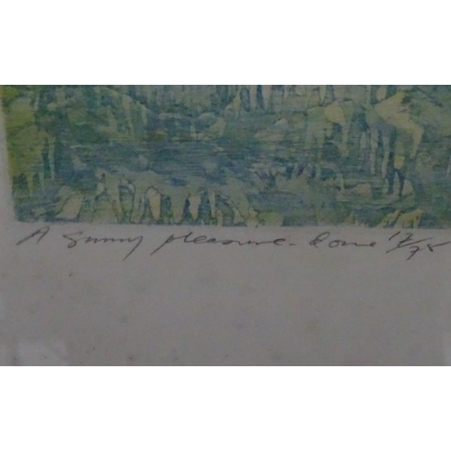 279 - Michael Oelman (1941-),  Etchings (7), 'Xanadu', 'A Mighty Fountain', (17/75) 'There Were Gardens', ... 