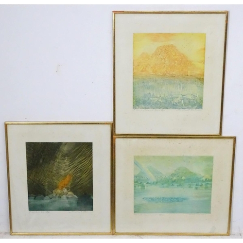 279 - Michael Oelman (1941-),  Etchings (7), 'Xanadu', 'A Mighty Fountain', (17/75) 'There Were Gardens', ... 