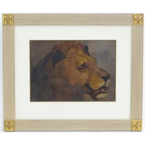 60 - Manner of William Huggins (1820-1884), English School, Oil on board, A study of the head of a lion, ... 