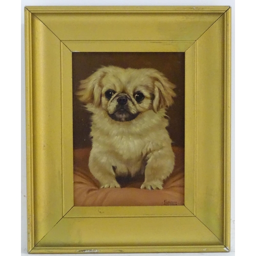 77 - Gustave Lorincz (1855-1931), Oil on panel, A portrait study of a Pekinese dog on a cushion. Signed l... 