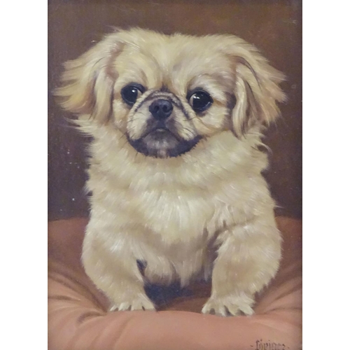 77 - Gustave Lorincz (1855-1931), Oil on panel, A portrait study of a Pekinese dog on a cushion. Signed l... 