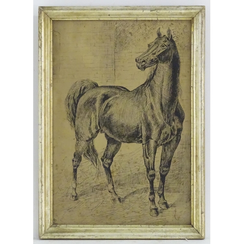 79 - HP, XIX, Pen and ink, A study of a stallion / horse. Monogrammed and dated 9 / 2 / (18)87 lower left... 