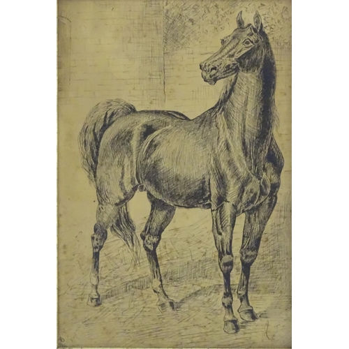 79 - HP, XIX, Pen and ink, A study of a stallion / horse. Monogrammed and dated 9 / 2 / (18)87 lower left... 