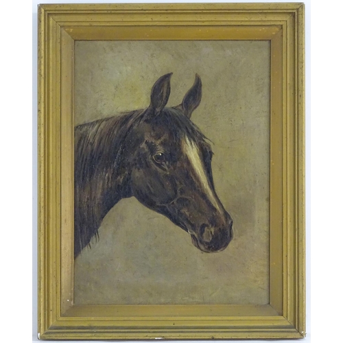 80 - English Equine School, XX, Oil on canvas, A portrait study of the head of a horse. Indistinctly ascr... 