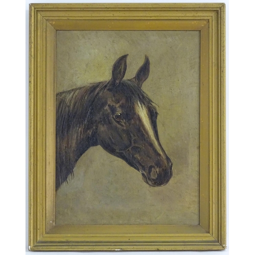 80 - English Equine School, XX, Oil on canvas, A portrait study of the head of a horse. Indistinctly ascr... 