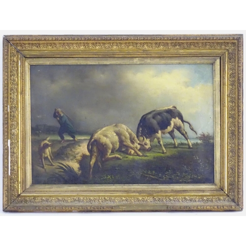 83 - After Jacques-Raymond Brascassat (1804 - 1867), XIX-XX, Oil on canvas, Lutte de Taureaux / A Bull Fi... 