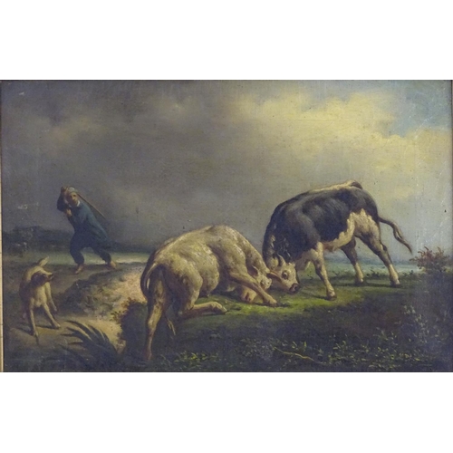 83 - After Jacques-Raymond Brascassat (1804 - 1867), XIX-XX, Oil on canvas, Lutte de Taureaux / A Bull Fi... 