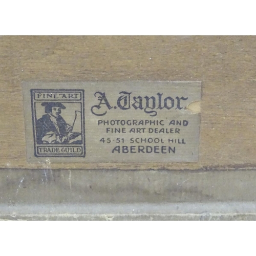 147 - A pair of Victorian decoupage feather and painted bird pictures, depicting hanging dead game, a red ... 