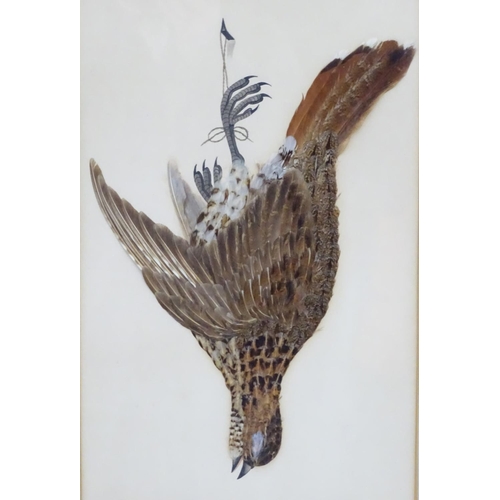 147 - A pair of Victorian decoupage feather and painted bird pictures, depicting hanging dead game, a red ... 