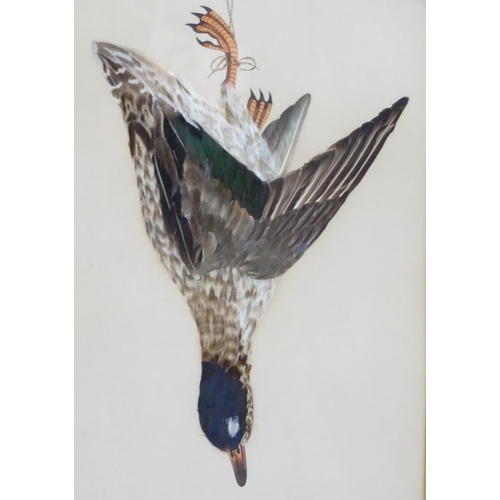 147 - A pair of Victorian decoupage feather and painted bird pictures, depicting hanging dead game, a red ... 