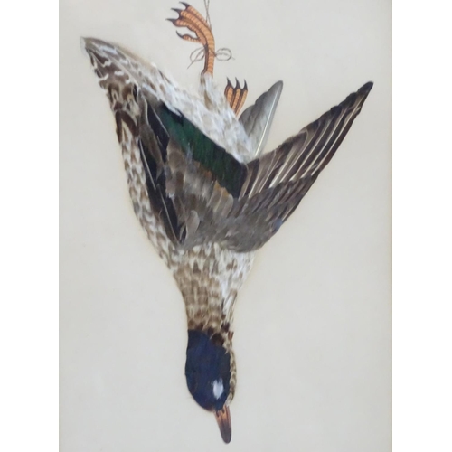 147 - A pair of Victorian decoupage feather and painted bird pictures, depicting hanging dead game, a red ... 