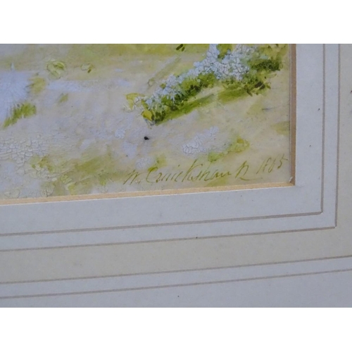 151 - After N Cruikshank, XIX, Ornithological School, Colour print, A Chaffinch & a Greenfinch. Bears facs... 