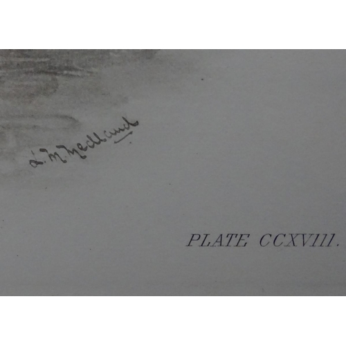 152 - After Lilian Marguerite Medland (1880-1955), Ornithological School, Monochrome plate prints, a pair,... 