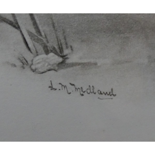 152 - After Lilian Marguerite Medland (1880-1955), Ornithological School, Monochrome plate prints, a pair,... 