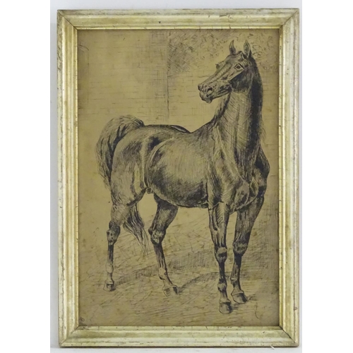 181 - HP, XIX, Pen and ink, A study of a stallion / horse. Monogrammed and dated 9 / 2 / (18)87 lower left... 