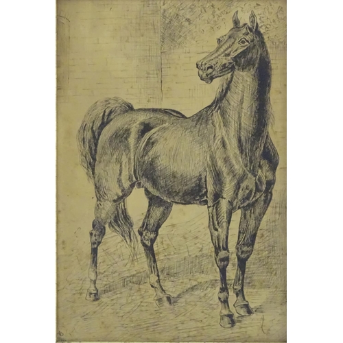 181 - HP, XIX, Pen and ink, A study of a stallion / horse. Monogrammed and dated 9 / 2 / (18)87 lower left... 